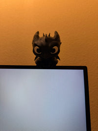 Computer hanging inspires dragon