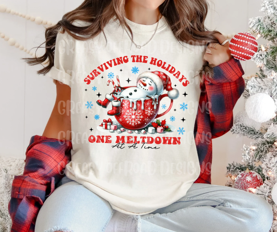 Surviving the holidays one meltdown at a time