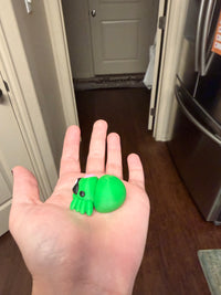 Zombie spider