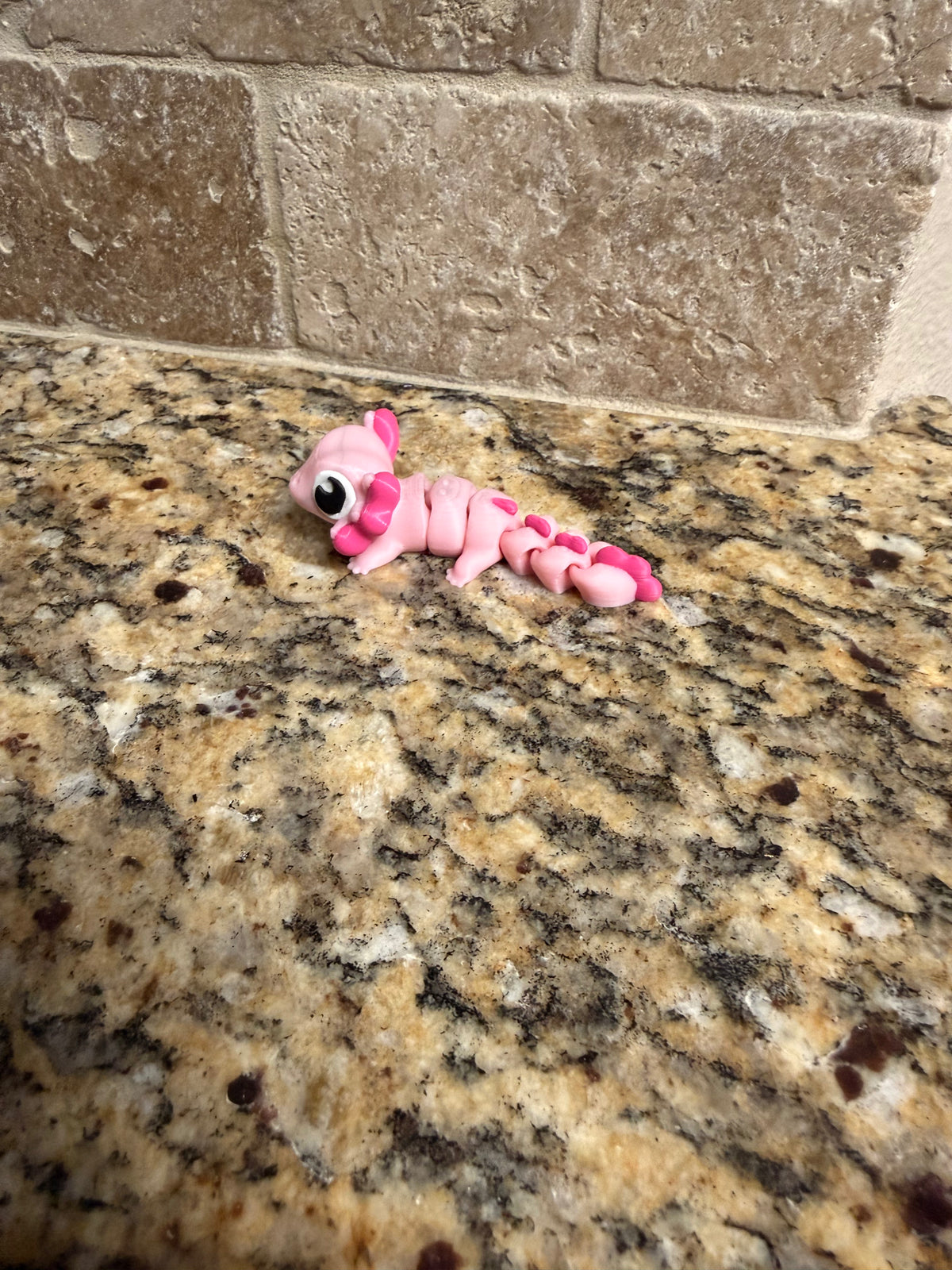 Axolotl