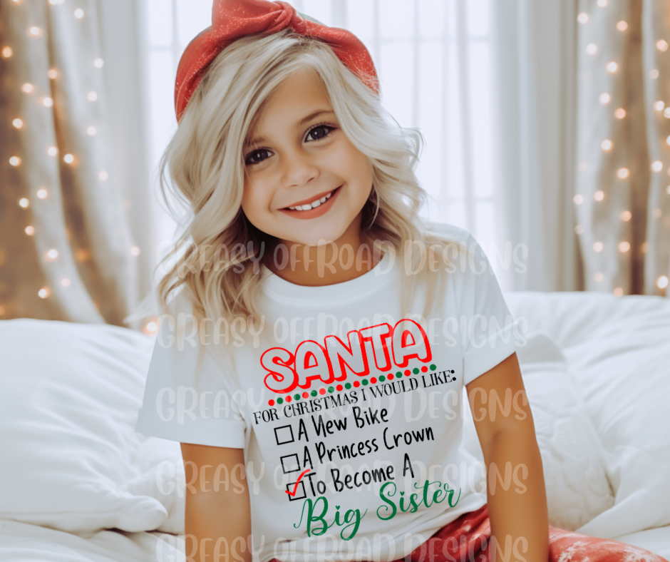 Dear Santa i want to be a big sister