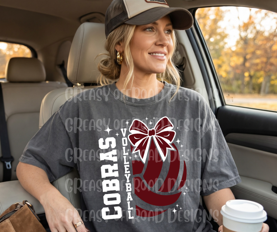 Cobras volleyball