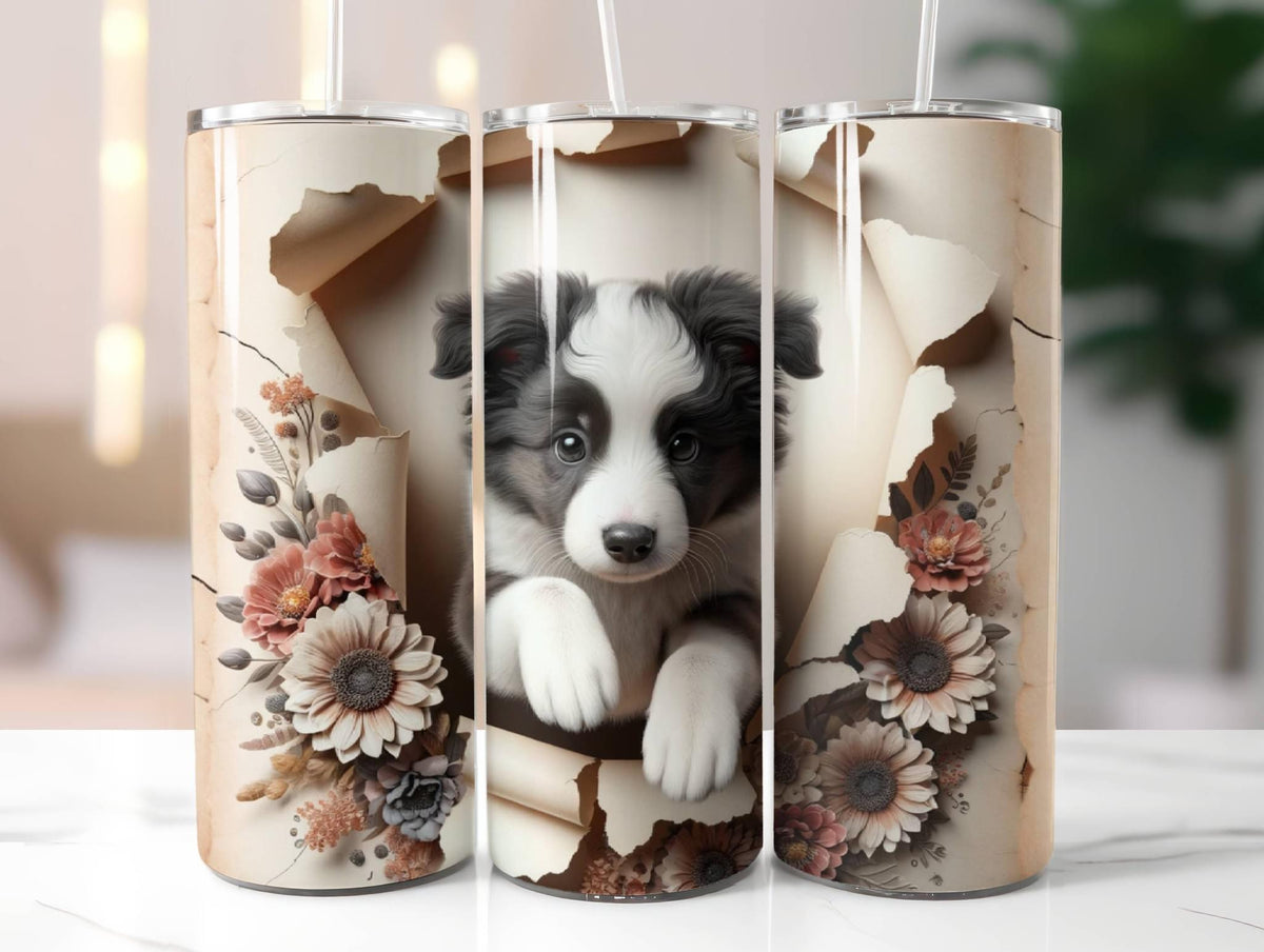 Border collie