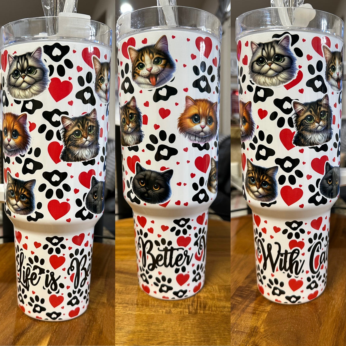 Life is better with cats