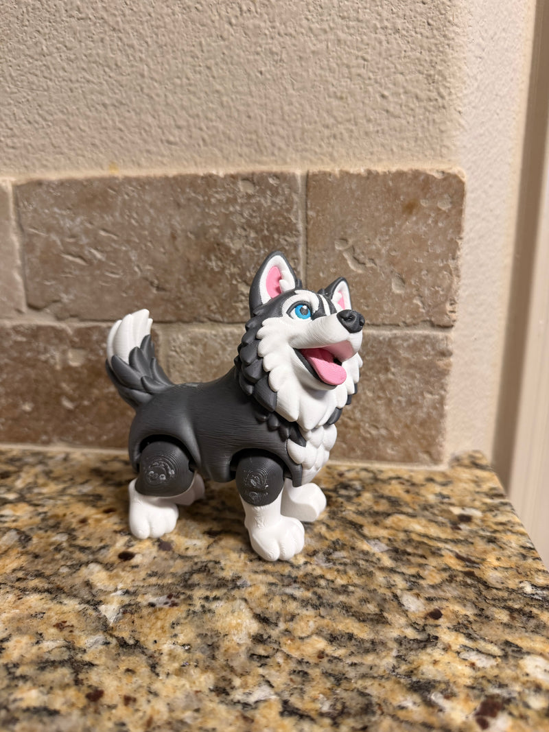Flexi Siberian husky