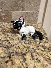 Flexi Siamese kitty