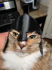 3D Spartan Cat Helmet