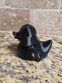 3D Dark Mask Inspired Duck