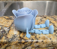 3D Rainbow Articulated Rose