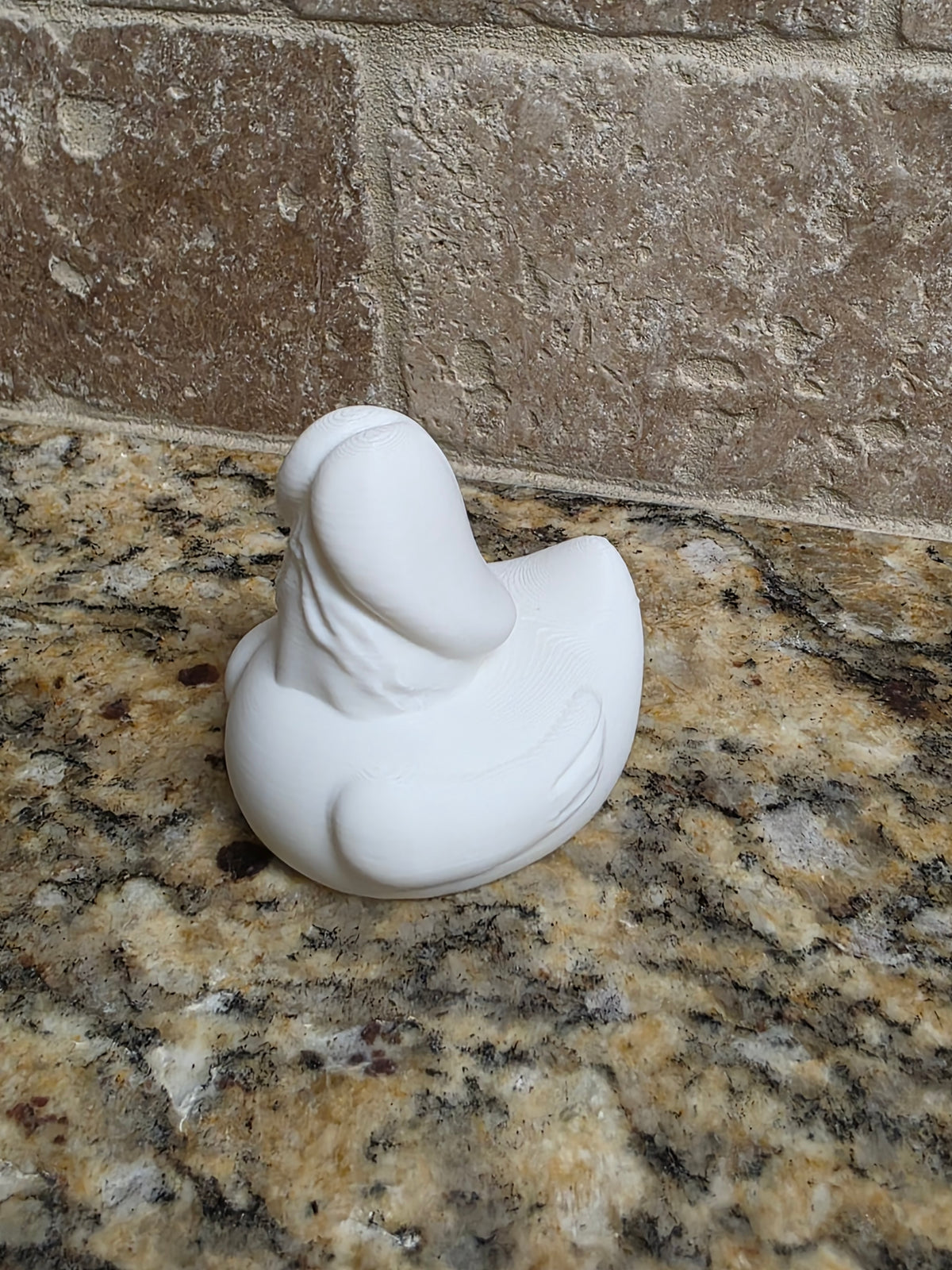 3D Prank Ducks