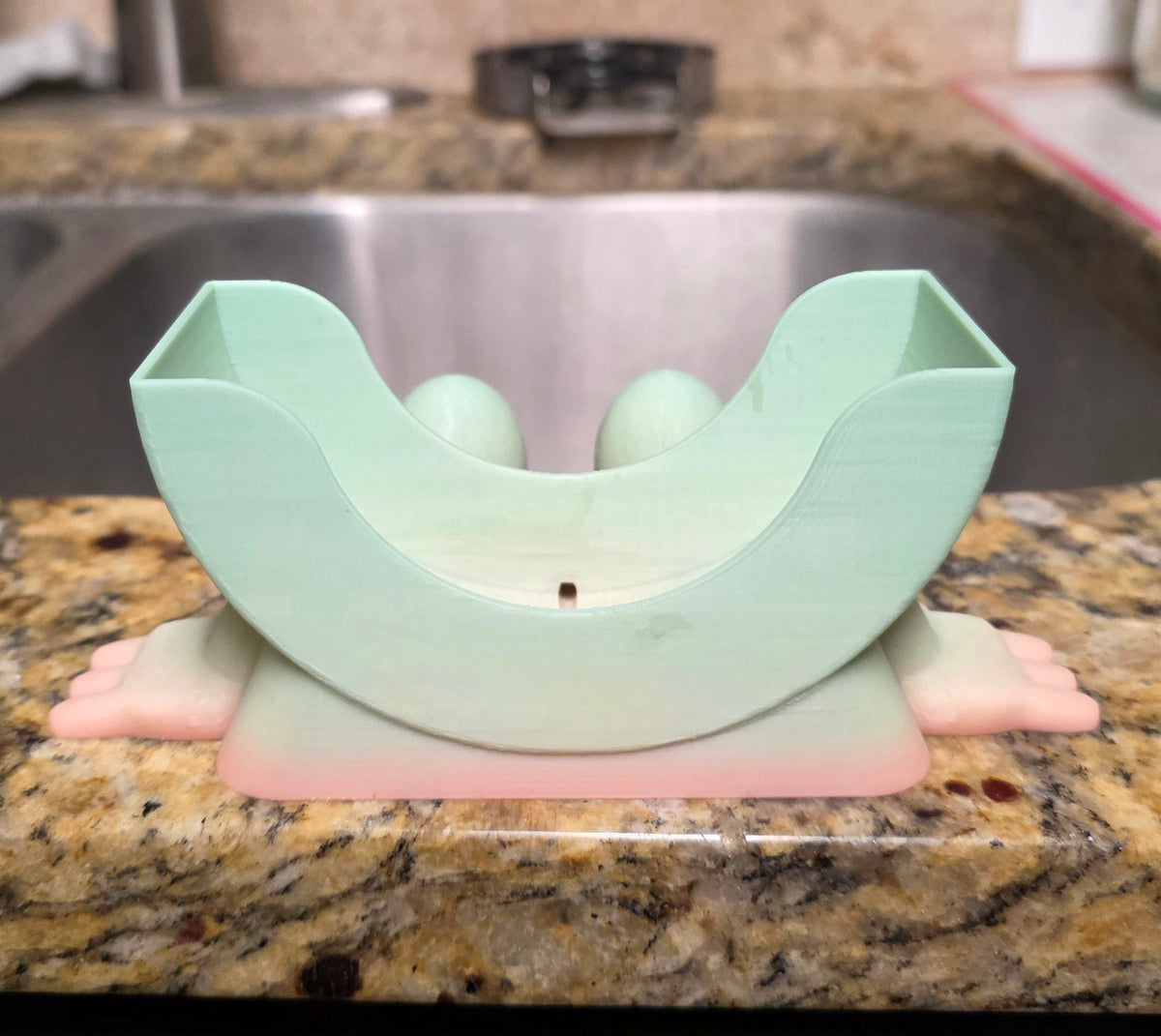Scrub Diddy 3D Printed Sponge Holder