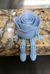3D Rainbow Articulated Rose