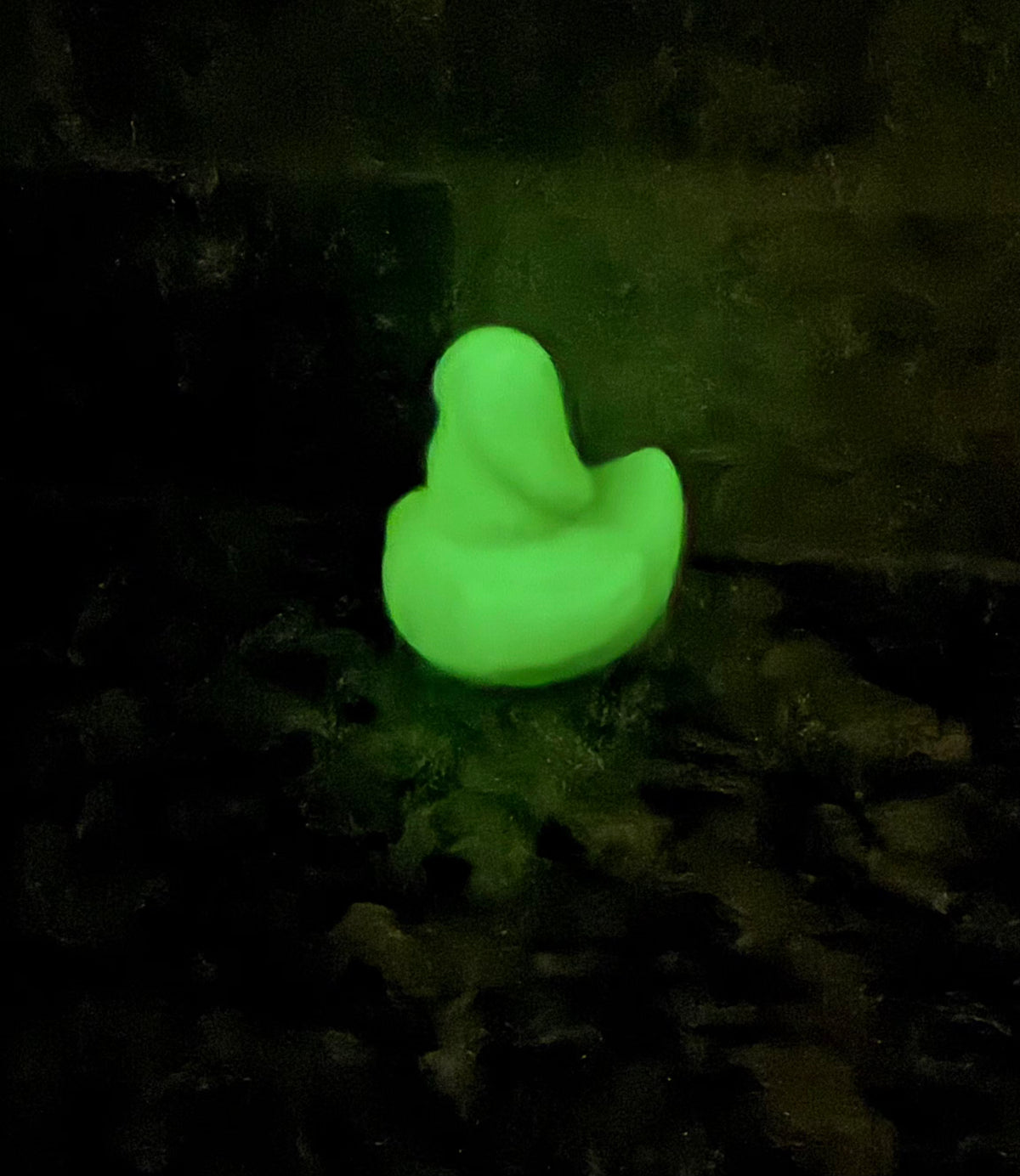 3D Prank Ducks